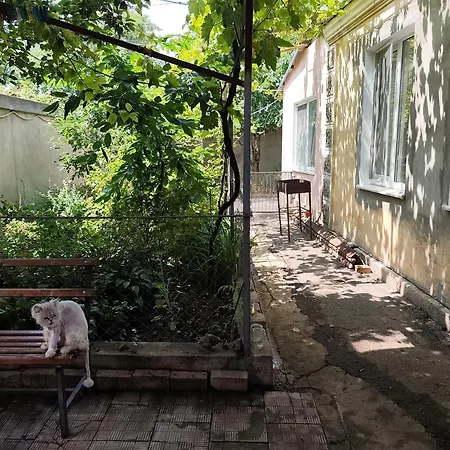 Guest house небольшой домик Odesa